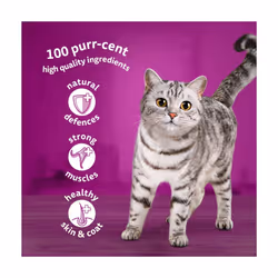 WHISKAS 1+ Cat Pouches Poultry Feasts in Jelly 12 x 85 g (Pack of 4)