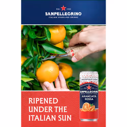 San Pellegrino Italian Sparkling Drinks Tastefully Light Sparkling Blood Orange Canned Soft Drink 12 x 330ml | 69 kCals per Can