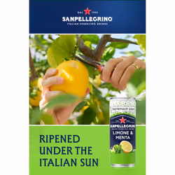 San Pellegrino Italian Sparkling Drinks Tastefully Light Sparkling Lemon & Mint Canned Soft Drink 12 x 330ml, 74 kCals per Can