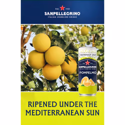 San Pellegrino Italian Sparkling Drinks Tastefully Light Sparkling Grapefruit Canned Soft Drink 12 x 330ml | 70 kCals per Can