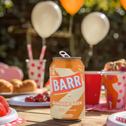 BARR since 1875, 24 Pack Classic Ginger Beer, Low Sugar & Non-Alcoholic Fizzy Drink "Fizzingly Fun" - 24 x 330ml Cans