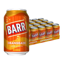 BARR since 1875, 24 Pack Sparkling Orangeade, Low Sugar Orange Flavoured Fizzy Drink "Fizzingly Fun" - 24 x 330ml Cans