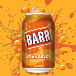 BARR since 1875, 24 Pack Sparkling Orangeade, Low Sugar Orange Flavoured Fizzy Drink "Fizzingly Fun" - 24 x 330ml Cans