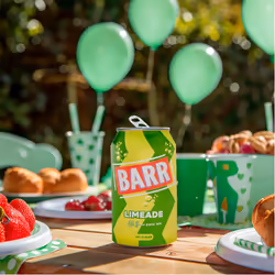 BARR since 1875, 24 Pack Zingy Limeade, Zero No Sugar Lime Flavoured Fizzy Drink "Fizzingly Fun" - 24 x 330ml Cans