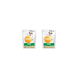 IAMS Complete Dry Dog Food for Adult 1+ Small and Medium Breeds with Chicken 800 g (Pack of 2)
