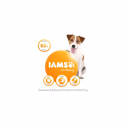 IAMS Complete Dry Dog Food for Adult 1+ Small and Medium Breeds with Chicken 800 g (Pack of 2)