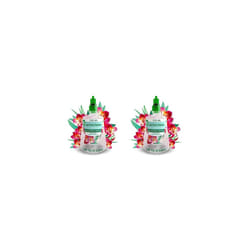 Air Wick Aerosol-Free Automatic Air Freshener Spray |Eucalyptus | Refills| 24x7 Active Fresh Odour Neutraliser | Lasts Up to 70 Days (Pack of 2)