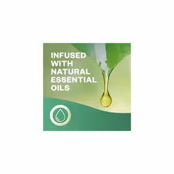 Air Wick Aerosol-Free Automatic Air Freshener Spray |Eucalyptus | Refills| 24x7 Active Fresh Odour Neutraliser | Lasts Up to 70 Days (Pack of 2)