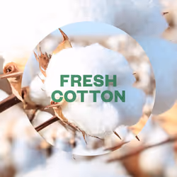 Air Wick Aerosol-Free Automatic Air Freshener Spray Refill, Cotton, Pack 1 x Odour Neutraliser, Lasts Up to 70 Days, Air freshener For Home