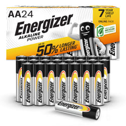 Energizer AA Batteries, Alkaline Power, 24 Pack, Double A Battery Pack - Amazon Exclusive