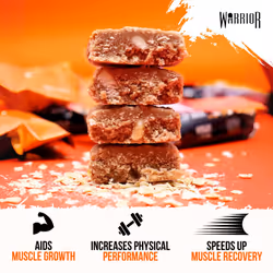 Warrior Raw Protein Flapjacks â 12 Bars x 75g Each â Packed with 20g of Protein â Low Sugar, High in Fibre (Chocolate Orange)