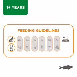 IAMS Complete Dry Cat Food for Adult 1+ Cats with Ocean Fish 800 g (Pack of 2)