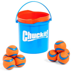 ChuckIt! Ultra Ball Dog Toy Chuckit Bucket Durable Rubber Dog Ball and Bucket It Launcher Compatible Toy Balls For Dogs with Carrier, 8 Pack, Medium