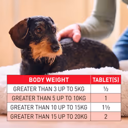 Beaphar WORMclear Tablets for Dogs, Kills all Common UK Intestinal Worms (Roundworms and Strength Treatment, Pork-Flavoured, 2 Tablets, Up to 20 kg