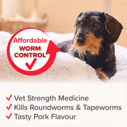 Beaphar WORMclear Tablets for Dogs, Kills all Common UK Intestinal Worms (Roundworms and Strength Treatment, Pork-Flavoured, 2 Tablets, Up to 20 kg