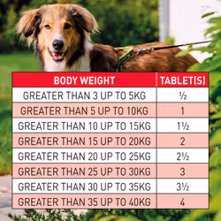 Beaphar | WORMclear Tablets for Dogs up to 40kg | Kills All Common UK Intestinal Tapeworms) | Vet Strength Treatment | Pork-flavoured | 4 tablets