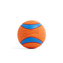 ChuckIt! Ultra Ball Dog Toy Ball Durable Rubber Dog Ball High Bounce Floating Chuck It Launcher Compatible Toy Balls For Dogs, 1 Pack, X-Large
