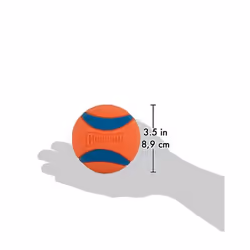 ChuckIt! Ultra Ball Dog Toy Ball Durable Rubber Dog Ball High Bounce Floating Chuck It Launcher Compatible Toy Balls For Dogs, 1 Pack, X-Large