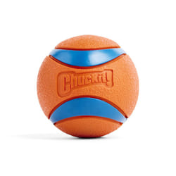 ChuckIt! Ultra Ball Dog Toy Ball Durable Rubber Dog Ball High Bounce Floating Chuck It Launcher Compatible Toy Balls For Dogs, 1 Pack, Large