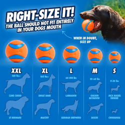 ChuckIt! Ultra Ball Dog Toy Ball Durable Rubber Dog Ball High Bounce Floating Chuck It Launcher Compatible Toy Balls For Dogs, 1 Pack, Large