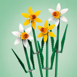 LEGO Creator Daffodils, Artificial Flowers Set for Kids & Creator Lotus Flowers Set, Bouquet Building Kit for Girls, Boys and Flower Fans