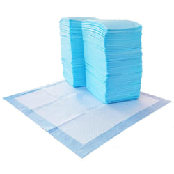 Amazon Basics Leakproof, 5-Layer, Scented Dog Pee Pads for Potty Training, 55.9 x 55.9 cm, Pack of 1, Regular (100 Count), Blue