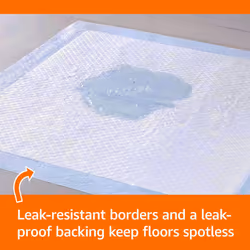 Amazon Basics Leakproof, 5-Layer, Scented Dog Pee Pads for Potty Training, 55.9 x 55.9 cm, Pack of 1, Regular (100 Count), Blue