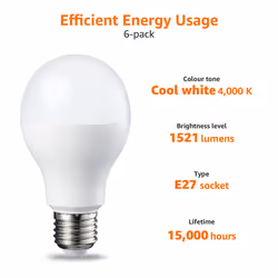 Amazon Basics LED E27 Edison Screw Bulb, 14W (Equivalent to 100W), Cool White, Non Dimmable - Pack of 6