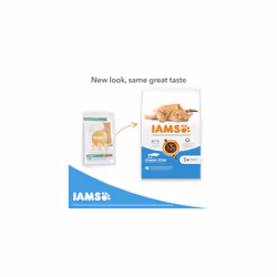 IAMS Complete Dry Cat Food for Adult 1+ Cats with Ocean Fish 3 kg,Packaging may vary