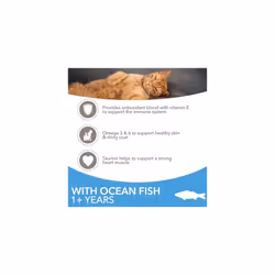 IAMS Complete Dry Cat Food for Adult 1+ Cats with Ocean Fish 3 kg,Packaging may vary