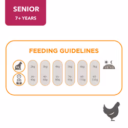 IAMS Complete Dry Cat Food for Senior 7+ Cats with Chicken 800 g (Pack of 2)