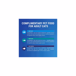 FELIX Soup Tender Strips Fish Selection Wet Cat Food 6x48g, (Pack of 8)