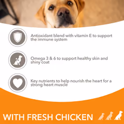 IAMS Complete Dry Dog Food for Adult 1+ Large Breeds with Chicken 5 kg