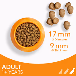 IAMS Complete Dry Dog Food for Adult 1+ Large Breeds with Chicken 5 kg