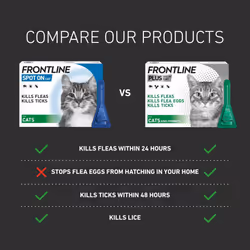 FRONTLINE Spot On Flea & Tick Treatment for Cats - 3 Pipettes