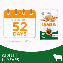 IAMS Complete Dry Cat Food for Adult 1+ Cats with Lamb 3 kg