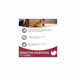 IAMS Sensitive Digestion Dry Cat Food Turkey 3kg
