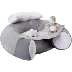 Nuby Penguin Sit-Me-Up Baby Seat â Inflatable Sit & Play Floor Seat | Detachable Tray | Machine Washable | Suitable from 6 Months Plus (Grey)
