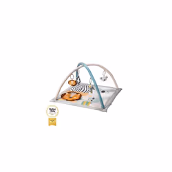Nuby Animal Adventures Baby Play Mat â Toy Activity Gym with Sensory Toys and Padded Base for Tummy Time, One Size