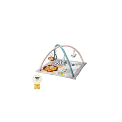 Nuby Animal Adventures Baby Play Mat â Toy Activity Gym with Sensory Toys and Padded Base for Tummy Time, One Size