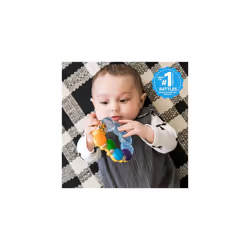 Baby Einstein Teether - Rattle & Chill - Ages 3 months +