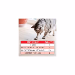 Beaphar WORMclear Tablets for Cats - 2 Tablets