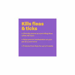 Bob Martin Clear Spot On Flea Treatment for Cats & Kittens - Kills Fleas & Ticks (3 Pipettes)