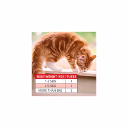 Beaphar WORMclear Spot-On Cats, Tapeworm Treatment, 2 Pipettes