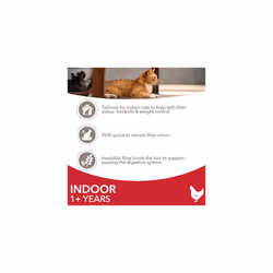 IAMS Indoor Complete Dry Cat Food for Adult and Senior Cats with Chicken 3 kg