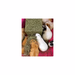 Rosewood Naturals Hay Forage Cube - Medium, 2 Pack