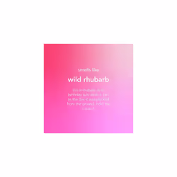 Method Antibacterial All Purpose Spray, Powerful Formula Kills 99.9% of Bacteria, Wild Rhubarb, Pack of 4, 828ml