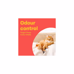 Bob Martin Cat Litter Freshener Powder, Meadow Fresh Scent - Effective Odour Control for Longer Lasting Freshness, Made in the UK (500g)
