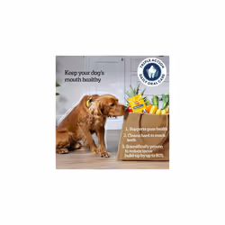 PEDIGREE DENTASTIX - Dental Dog Chews - Adult Medium Dogs 10-25kg - 4 x 28 Sticks - Megapack of Dog Dental Sticks