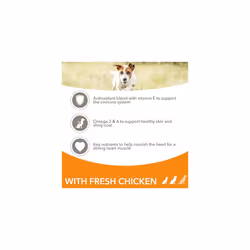 IAMS Complete Dry Dog Food for Adult 1+ Small and Medium Breeds with Chicken 800 g